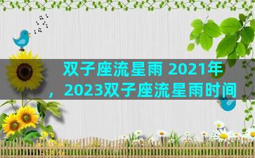 双子座流星雨 2021年，2023双子座流星雨时间